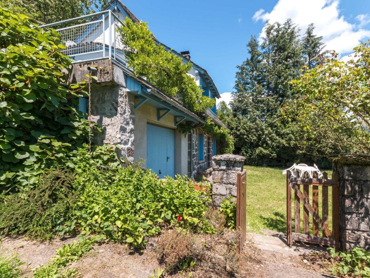 Beautiful Villa In The Parc Des Volcans D Auvergne Vic-sur-Cère Exteriér fotografie