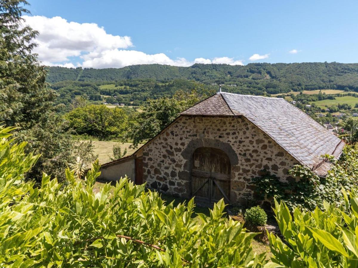 Beautiful Villa In The Parc Des Volcans D Auvergne Vic-sur-Cère Exteriér fotografie