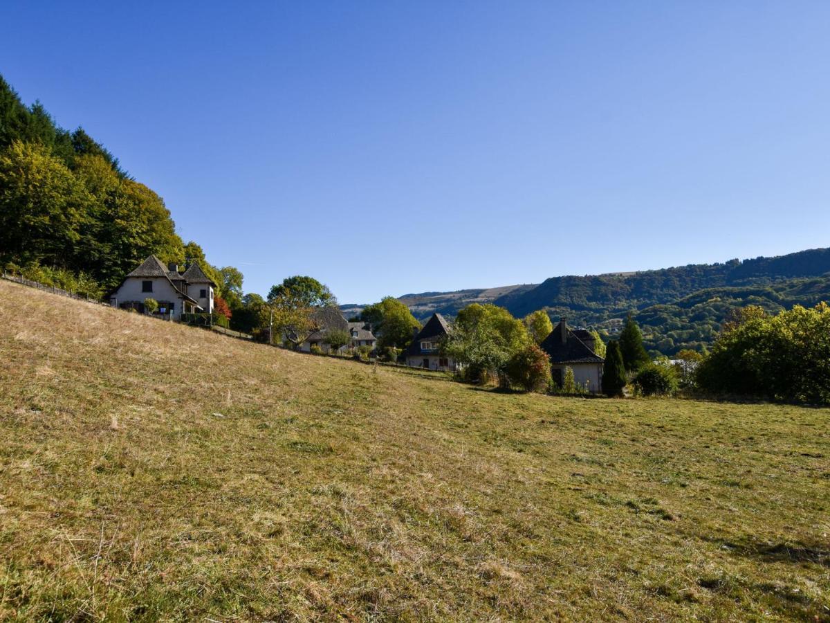 Beautiful Villa In The Parc Des Volcans D Auvergne Vic-sur-Cère Exteriér fotografie
