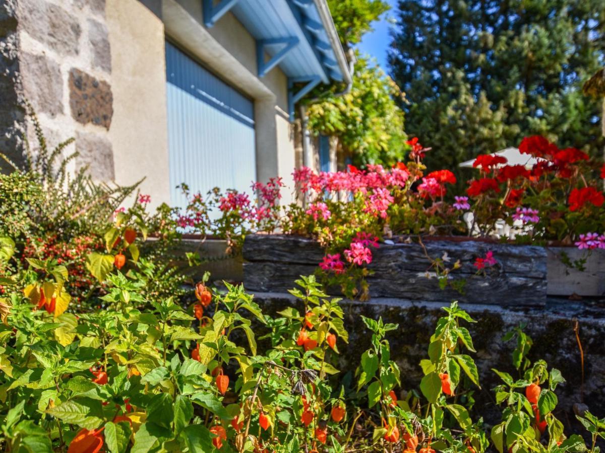 Beautiful Villa In The Parc Des Volcans D Auvergne Vic-sur-Cère Exteriér fotografie