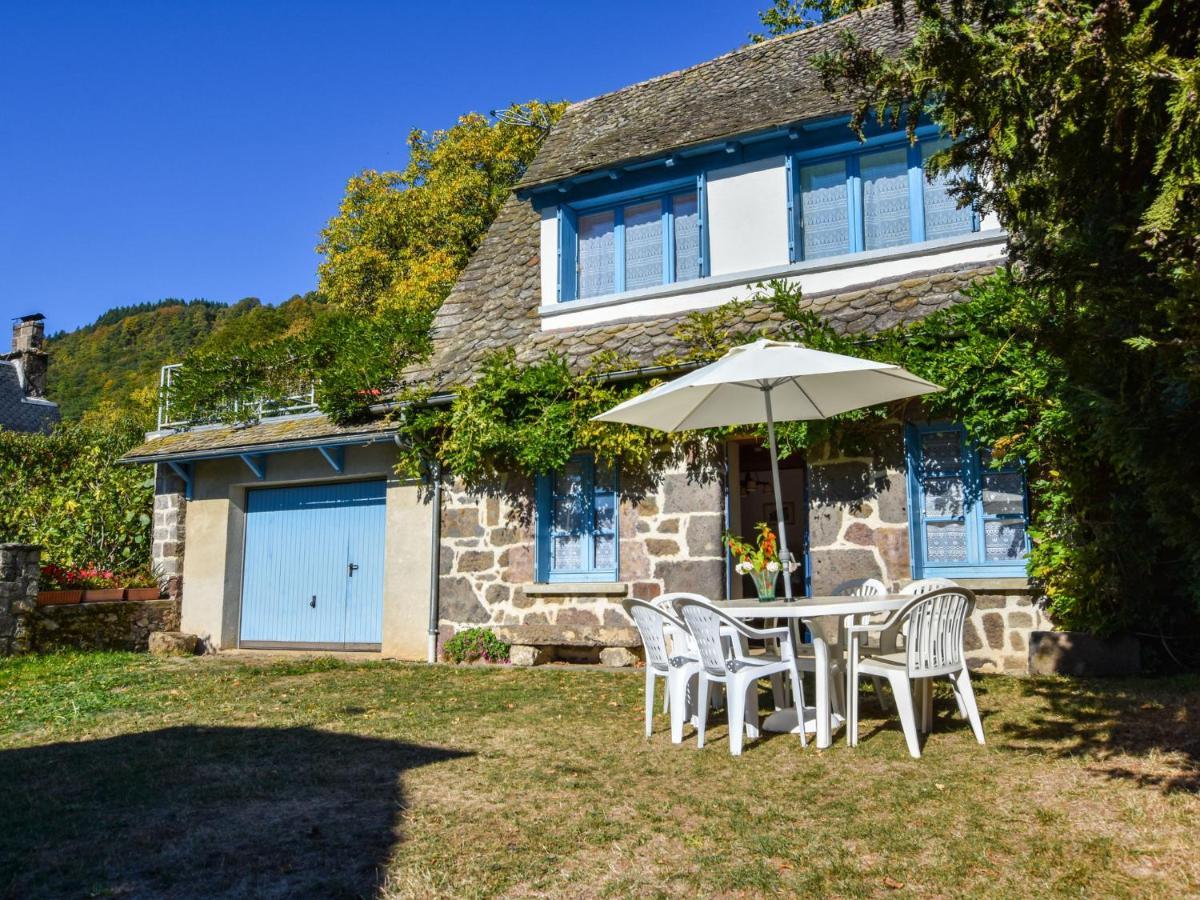Beautiful Villa In The Parc Des Volcans D Auvergne Vic-sur-Cère Exteriér fotografie