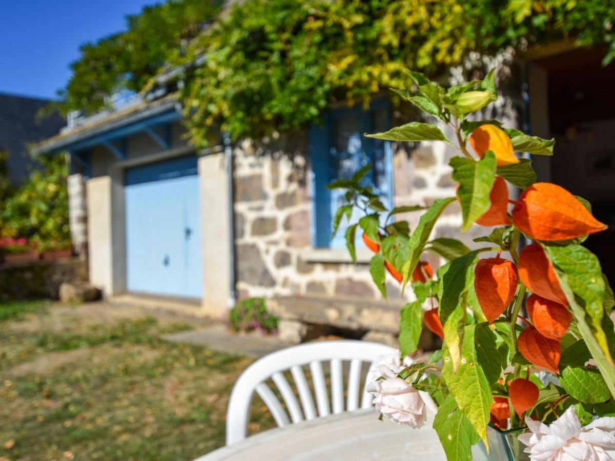 Beautiful Villa In The Parc Des Volcans D Auvergne Vic-sur-Cère Exteriér fotografie